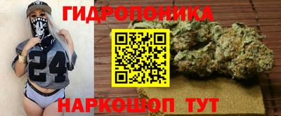 дурь Будённовск