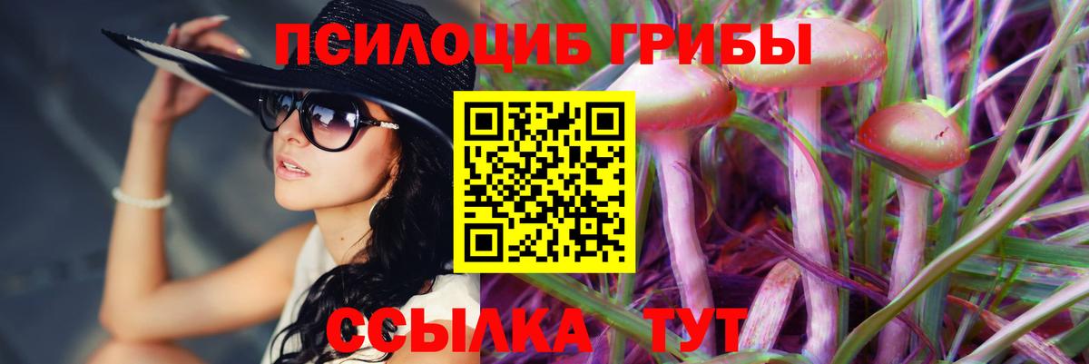 Солнечногорск  Псилоцибиновые грибы Magic Shrooms  Вход с VPN  Галлюциногенные грибы Magic Shrooms 