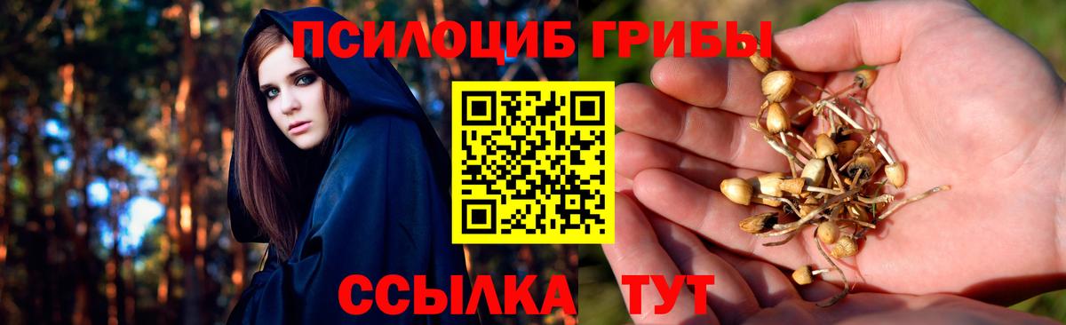 Галлюциногенные грибы мицелий Солнечногорск